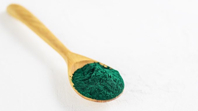 alga spirulina